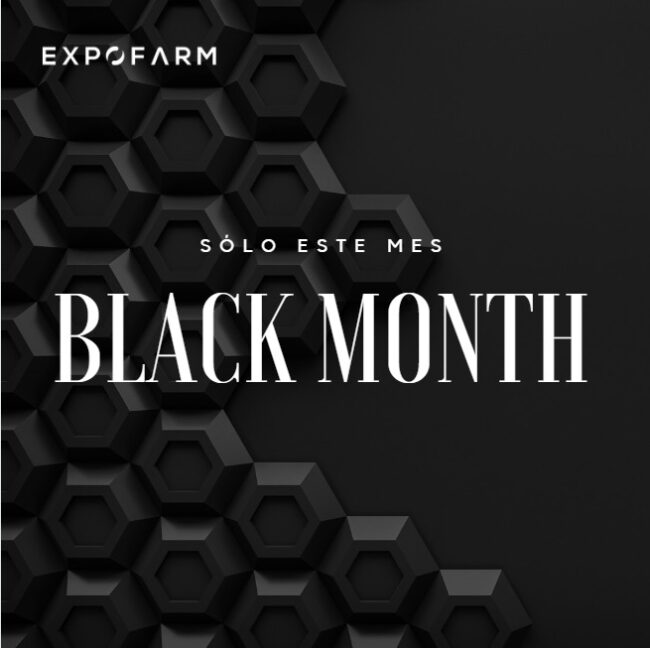 WhatsApp Image 2022-10-25 at 16.40.59